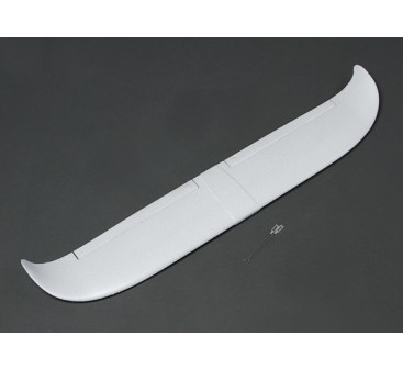 Trainer Main wing set