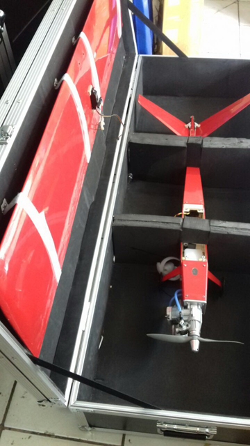 flightCase for V-tail Pylon Race - Click Image to Close