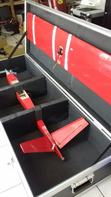 flightCase for V-tail Pylon Race - Click Image to Close