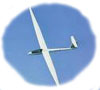 Glider/Sailplane