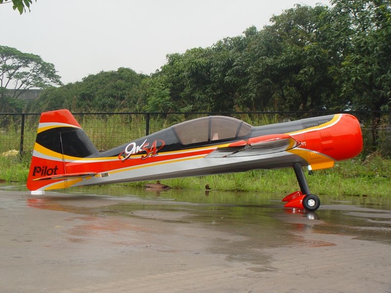 Pilot Yak 54 100cc + Wingtips - Click Image to Close